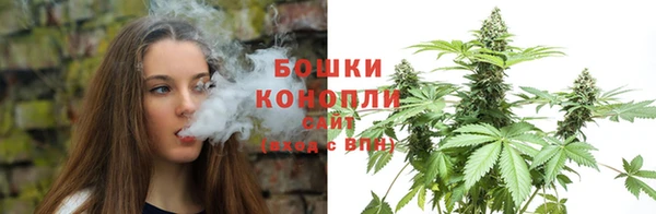 ГАЛЛЮЦИНОГЕННЫЕ ГРИБЫ Балахна