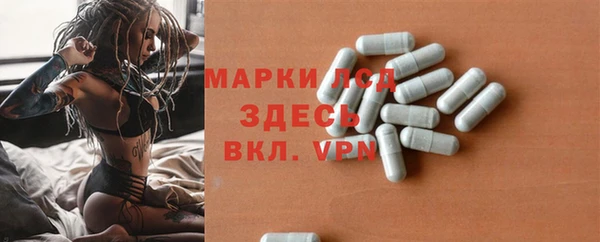 ГАЛЛЮЦИНОГЕННЫЕ ГРИБЫ Балахна