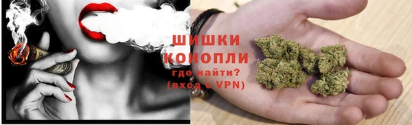 сатива Балабаново