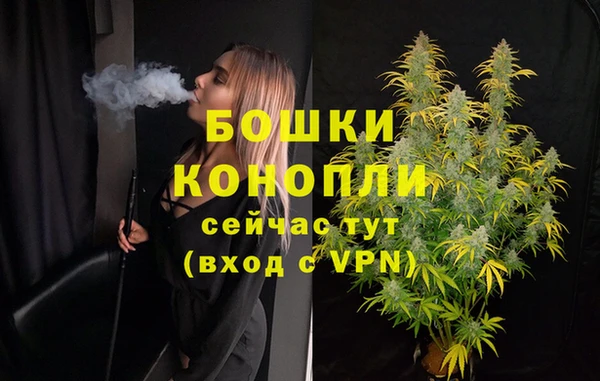 сатива Балабаново
