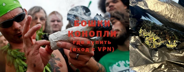 сатива Балабаново