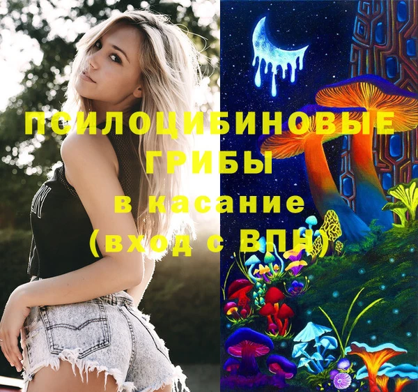ГАЛЛЮЦИНОГЕННЫЕ ГРИБЫ Балахна